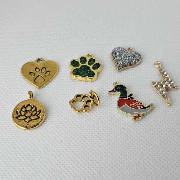 NEW! Enamel Pembroke Welsh Corgi Skateboard🛹 Keychain/Bag 🎒👜 Charm ~ 🐕 🎁 🐾 - Picture 8 of 8